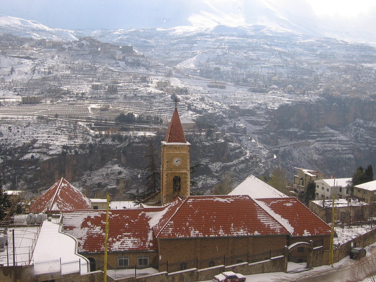 On the high cedars of Mount Lebanon